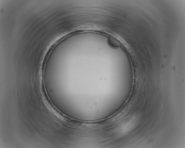 X0000080710840200701051007