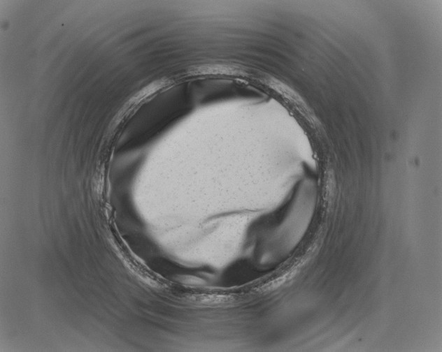 X0000080710841200701051007