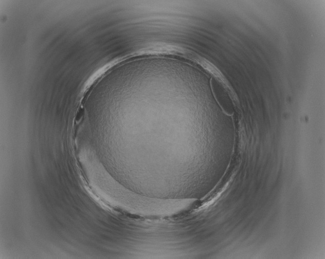 X0000080710842200701051007