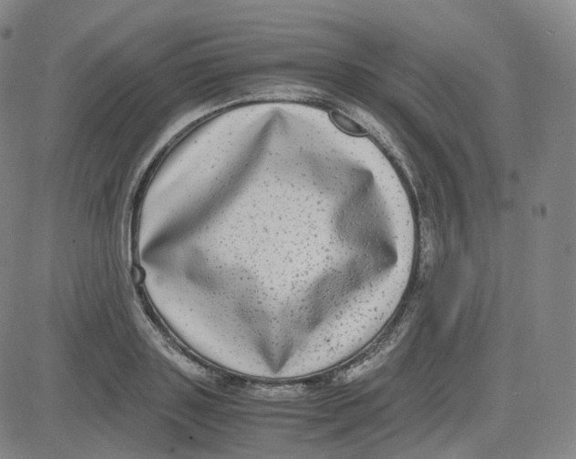 X0000080710843200701051007