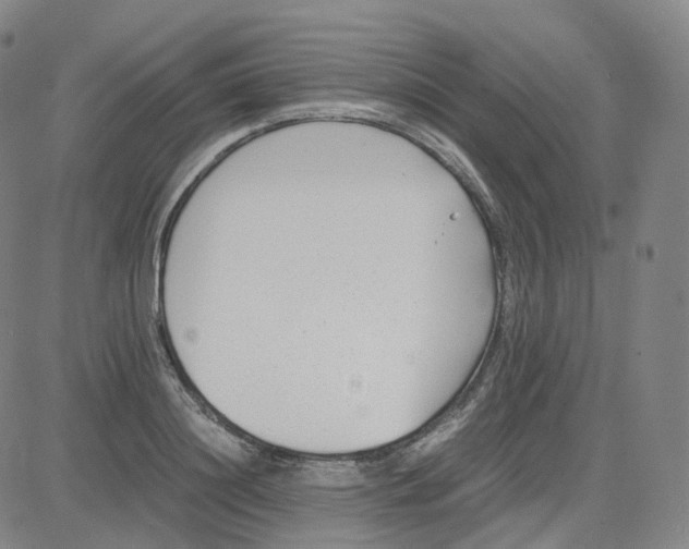 X0000080710844200701051007