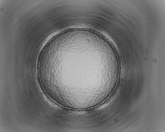 X0000080710845200701051007