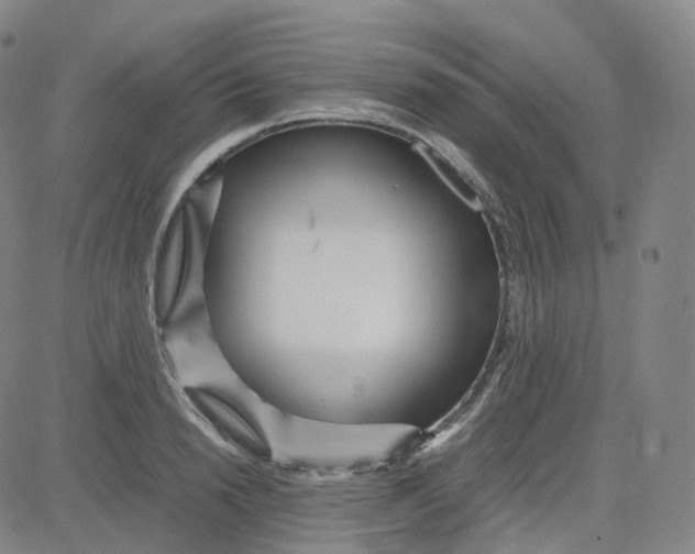 X0000080710846200701051007