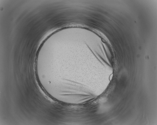 X0000080710847200701051007