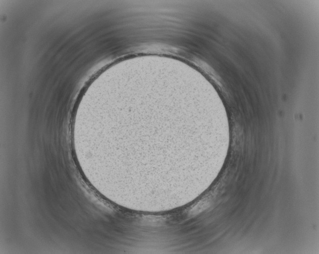 X0000080710848200701051007