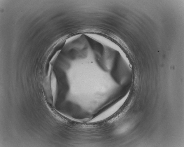 X0000080710849200701051007