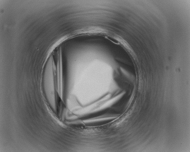 X0000080710850200701051007