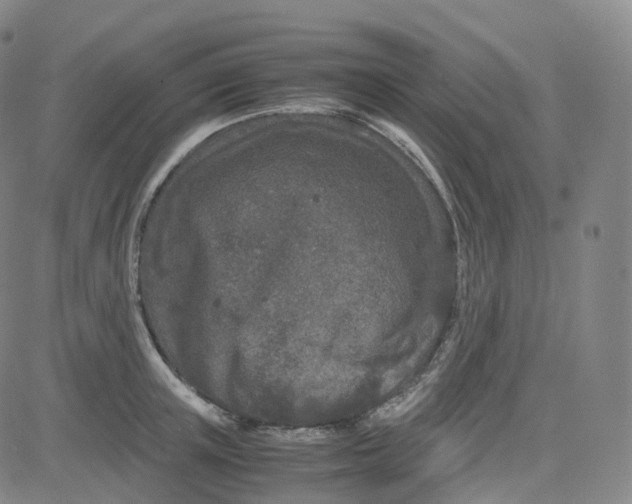 X0000080710851200701051007