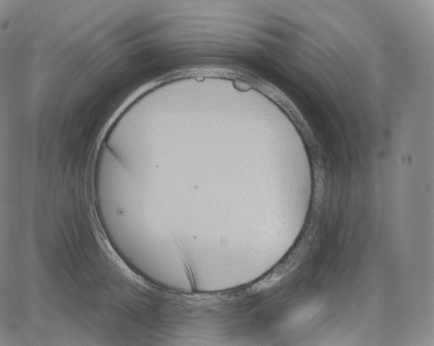 X0000080710852200701051007