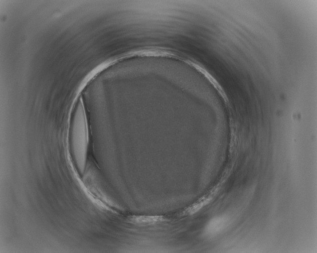 X0000080710853200701051007