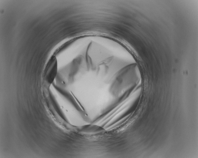 X0000080710854200701051007