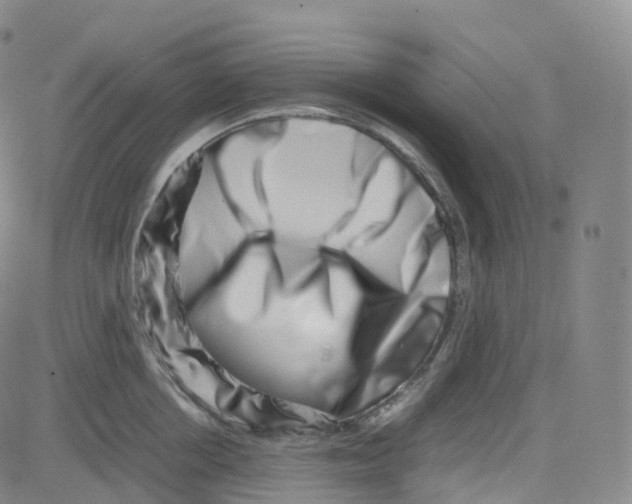 X0000080710858200701051008