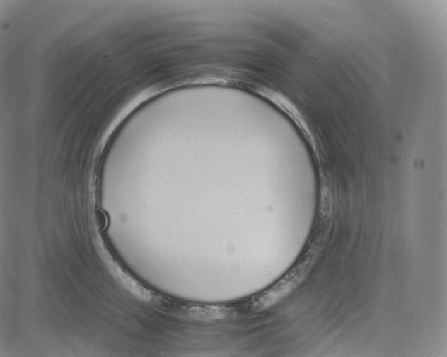 X0000080710859200701051008