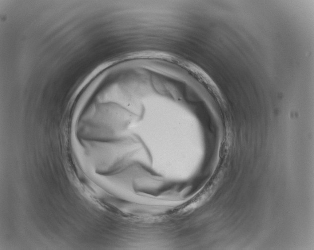 X0000080710860200701051008