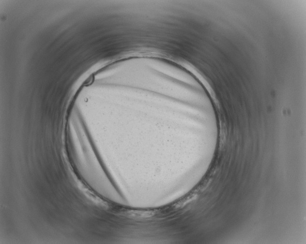 X0000080710861200701051008