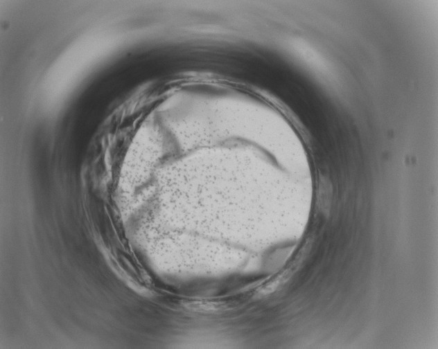 X0000080710862200701051008