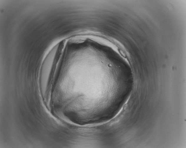 X0000080710863200701051008