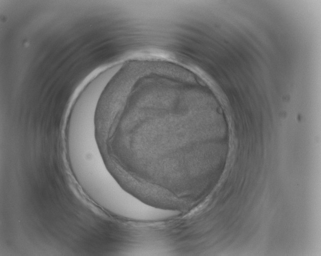 X0000080710864200701051008