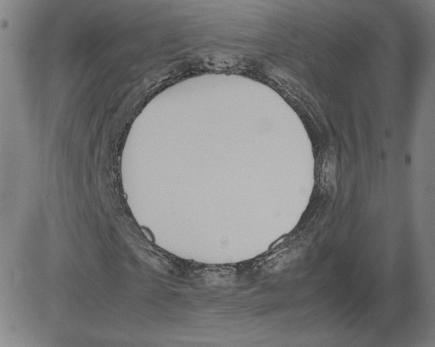 X0000080710865200701051007