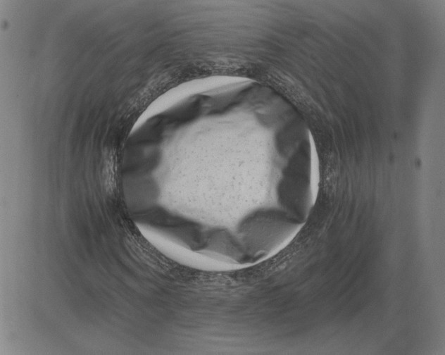 X0000080710866200701051007