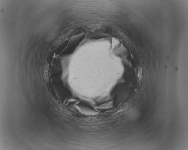 X0000080710867200701051007