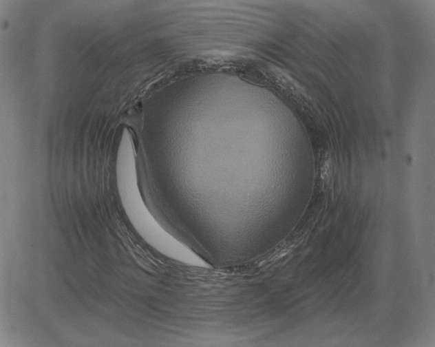 X0000080710868200701051007