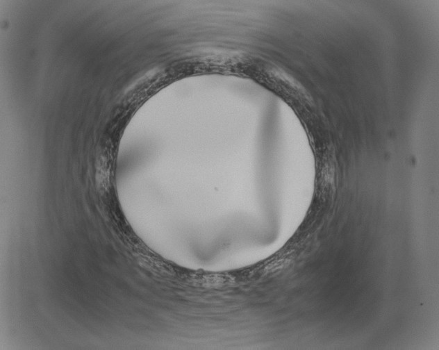 X0000080710869200701051007