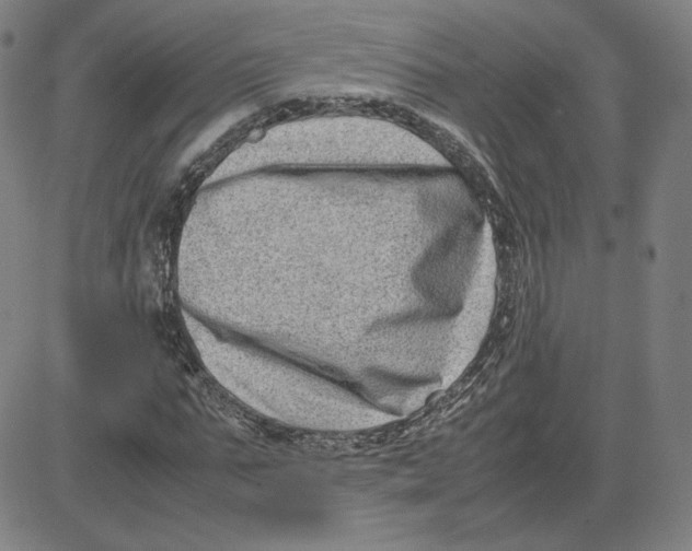 X0000080710871200701051007