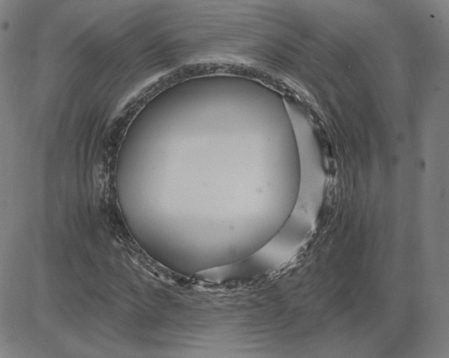 X0000080710872200701051007