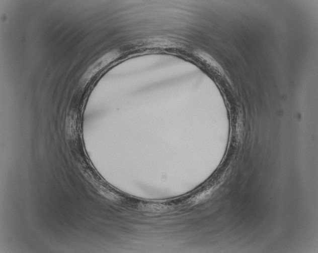 X0000080710873200701051007