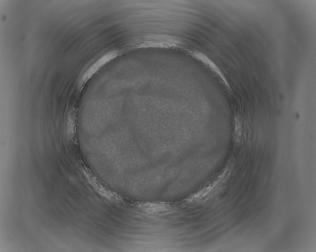 X0000080710874200701051007