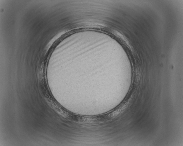 X0000080710875200701051007