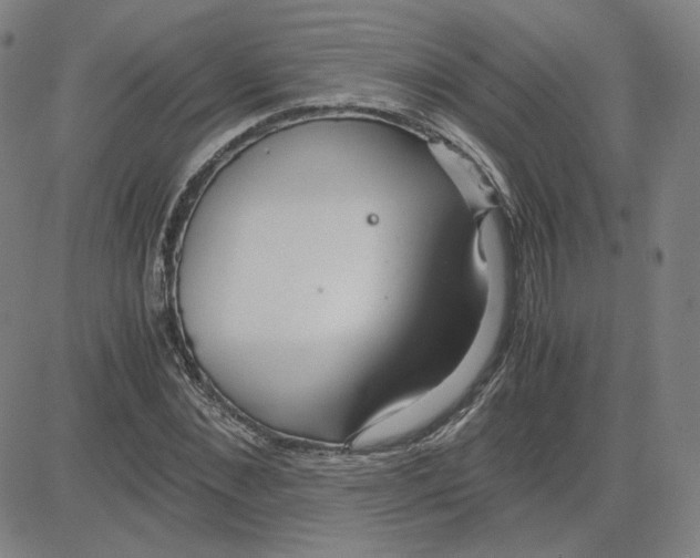 X0000080710876200701051007