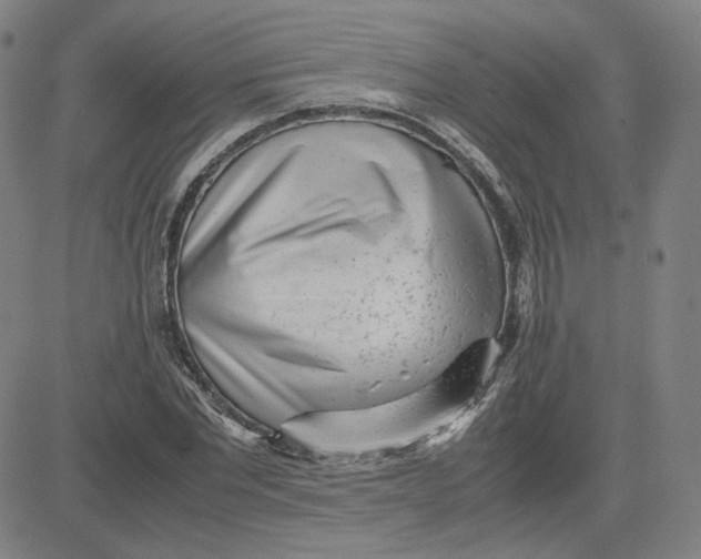 X0000080710877200701051007