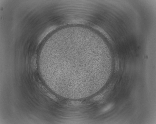 X0000080710878200701051007