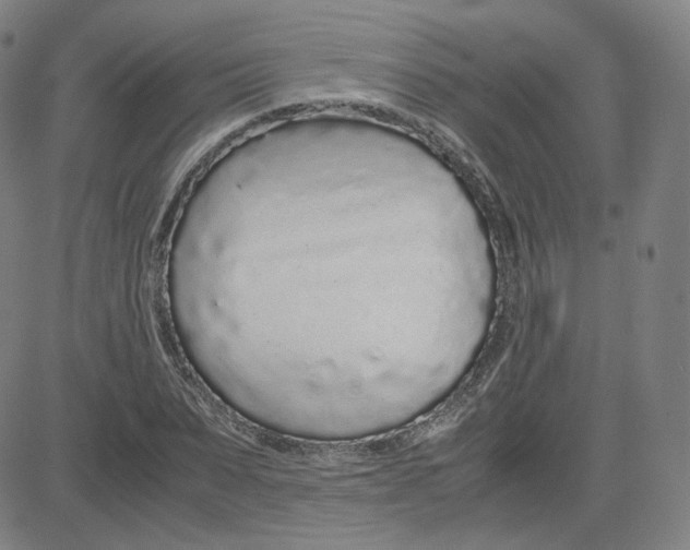 X0000080710879200701051007