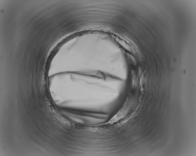 X0000080710880200701051007