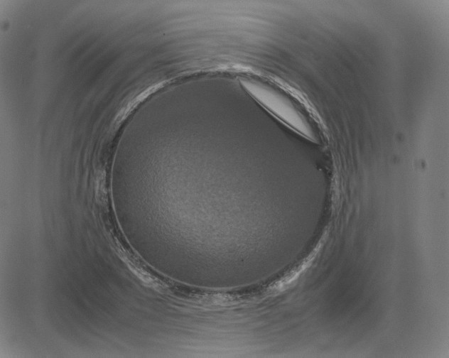 X0000080710881200701051007