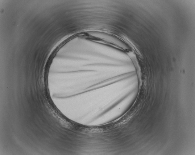 X0000080710884200701051007