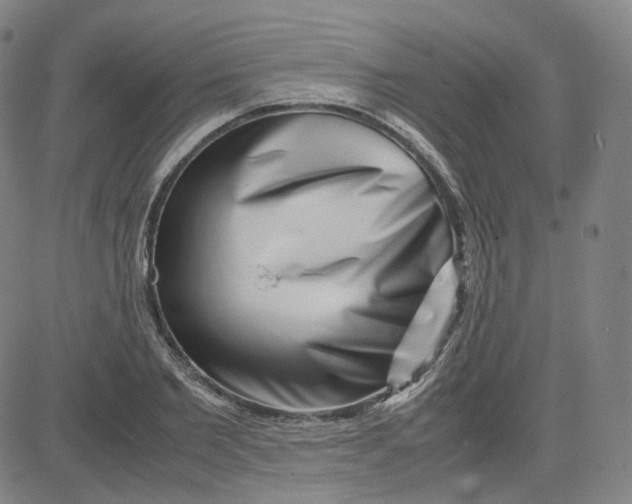 X0000080710885200701051007