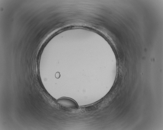 X0000080710887200701051007