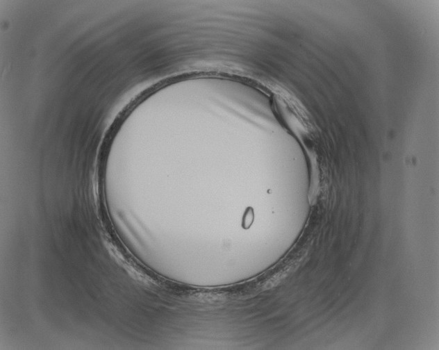 X0000080710888200701051007