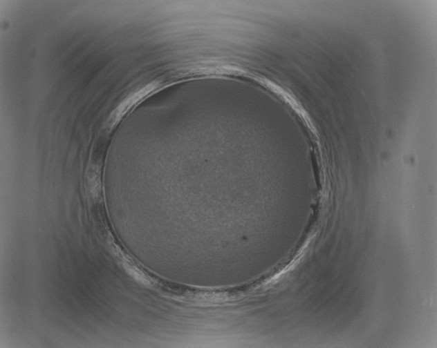 X0000080710889200701051006