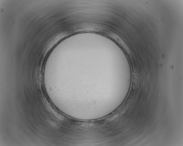 X0000080710890200701051006