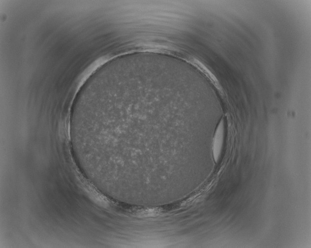 X0000080710891200701051006