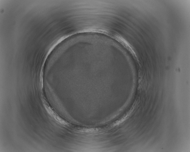 X0000080710892200701051006