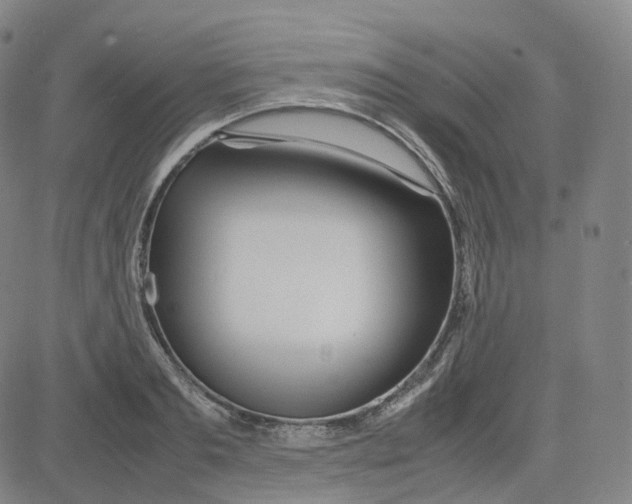 X0000080710893200701051006