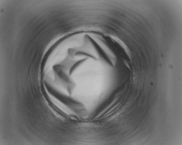 X0000080710894200701051006