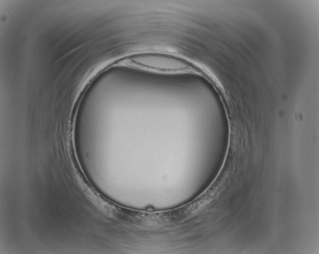 X0000080710895200701051006