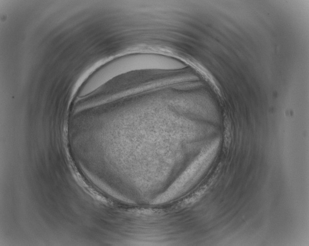 X0000080710896200701051006